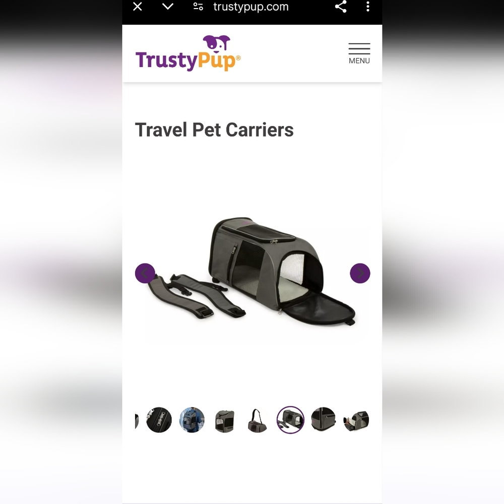 2 in 1 pet travel bag